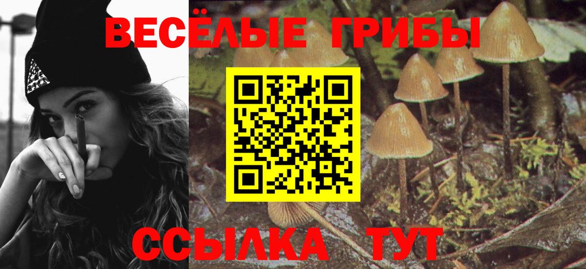 Псилоцибиновые грибы Cubensis  Вход с VPN  Нижний Тагил 